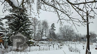 Купить землю, №388668