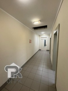 Купить студию, №389335