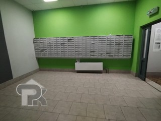 Купить студию, №380659