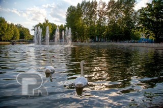 Купить землю, №354055