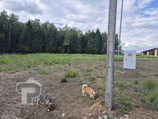 Купить землю, №389061