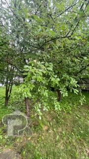 Купить дом, №390745