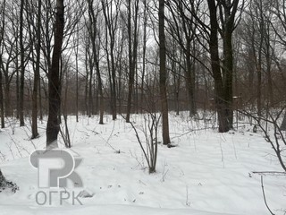 Купить землю, №384426