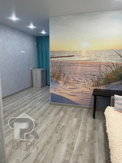 Купить студию, №387872