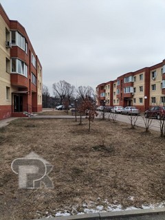 Купить студию, №382939