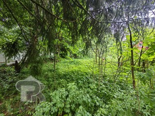 Купить землю, №390389