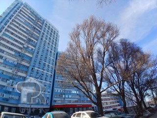 Купить студию, №388977