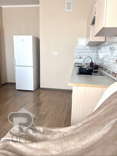 Купить 1-комнатную квартиру, №388107