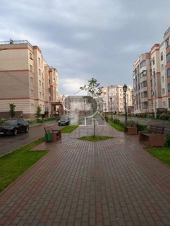 Купить студию, №386119