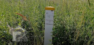 Купить землю, №382903