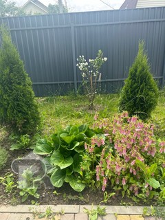 Купить коттедж, №389020