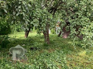 Купить землю, №388970