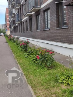 Купить студию, №390742