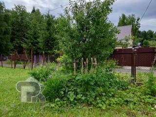 Купить дом, №390498