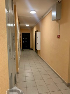 Купить студию, №338089