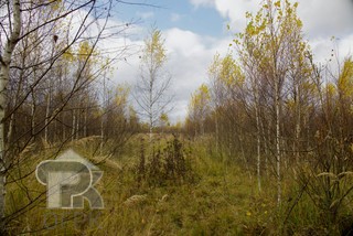 Купить землю, №387313