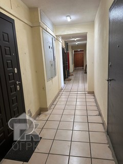Купить студию, №386326