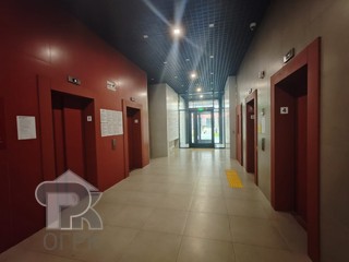 Купить студию, №387360