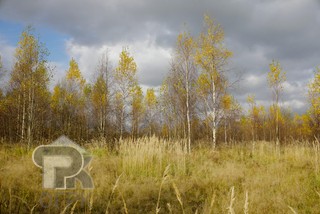 Купить землю, №387313