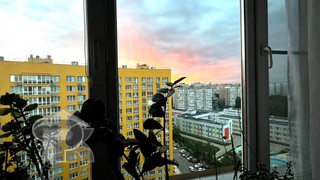 Купить 1-комнатную квартиру, №386588