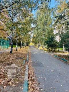 Купить 3-комнатную квартиру, №371188
