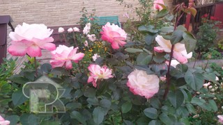 Купить дом, №386939