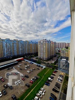 Купить студию, №391614