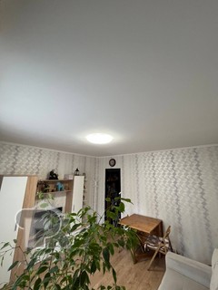 Купить студию, №391617