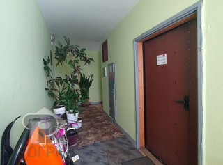 Купить 1-комнатную квартиру, №388690