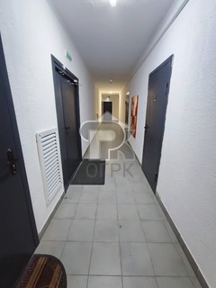 Купить студию, №387414