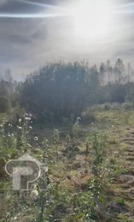 Купить землю, №386423