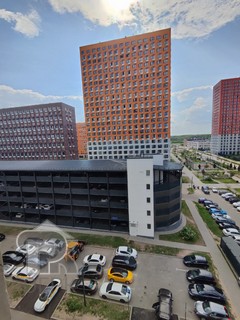 Купить студию, №386830