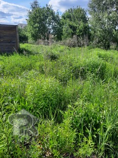 Купить землю, №386188