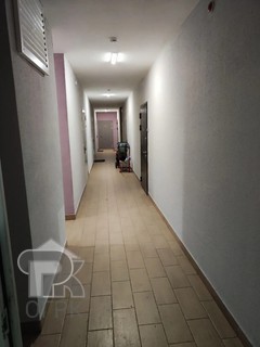 Купить студию, №390742