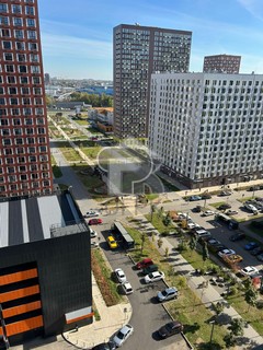 Купить студию, №387066
