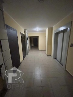 Купить студию, №388920