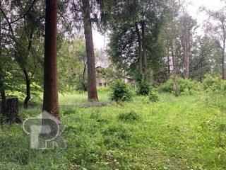 Купить землю, №384981