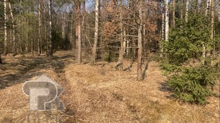 Купить землю, №384749
