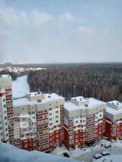 Купить 2-комнатную квартиру, №388813