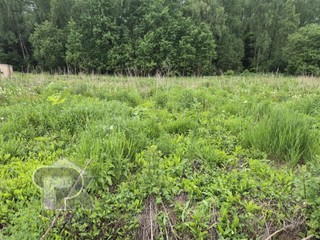 Купить землю, №390160