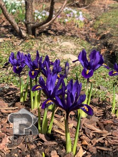 Купить коттедж, №388974