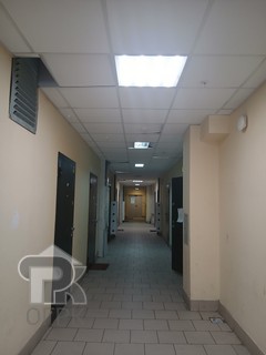 Купить студию, №388971