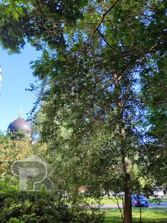 Купить 2-комнатную квартиру, №386373