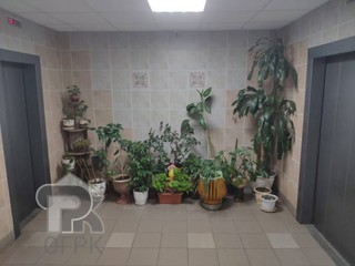 Купить 2-комнатную квартиру, №385281