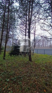 Купить землю, №384782