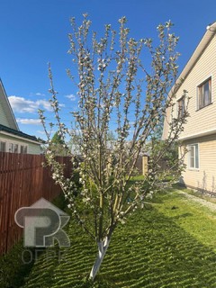 Купить дом, №388102