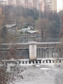 Купить 1-комнатную квартиру, №386917