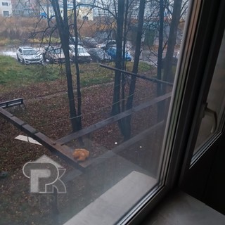 Купить 1-комнатную квартиру, №387409