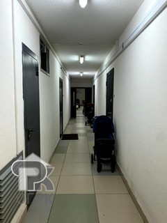 Купить студию, №388064