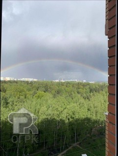 Купить 1-комнатную квартиру, №389355